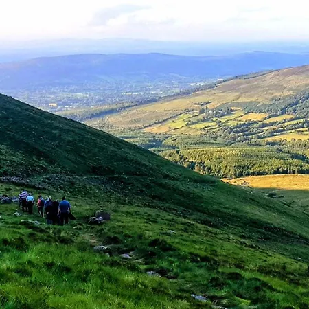 Domek alpejski Ballyhoura Glamping *