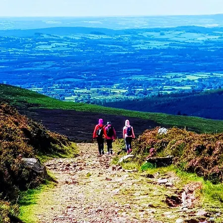 木屋 Ballyhoura Glamping