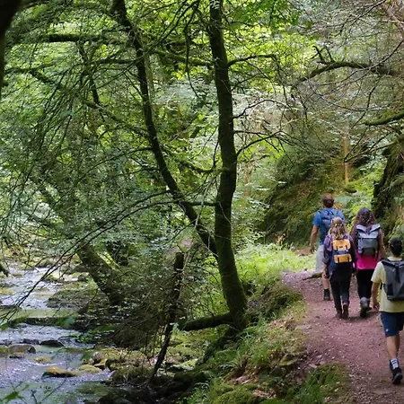 Ballyhoura Glamping Chalet Ballyorgan