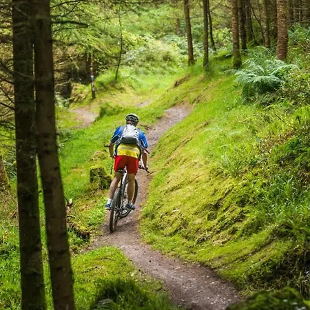 Ballyhoura Glamping * Ballyorgan