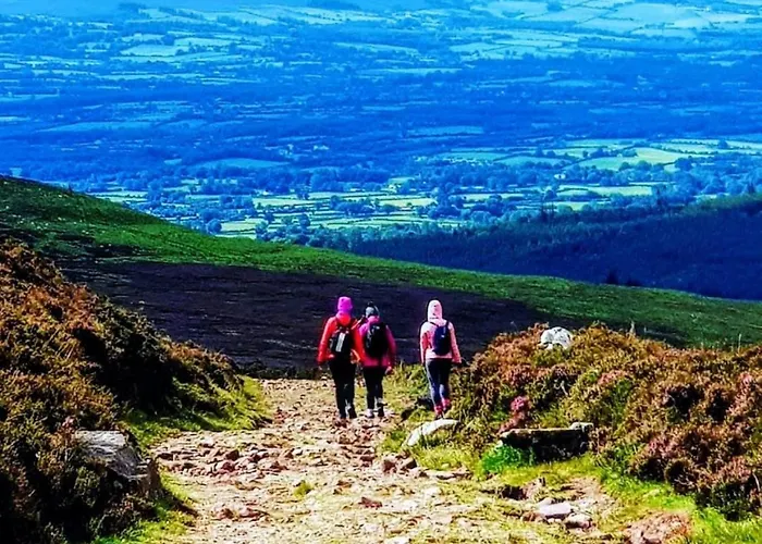 Chalet Ballyhoura Glamping