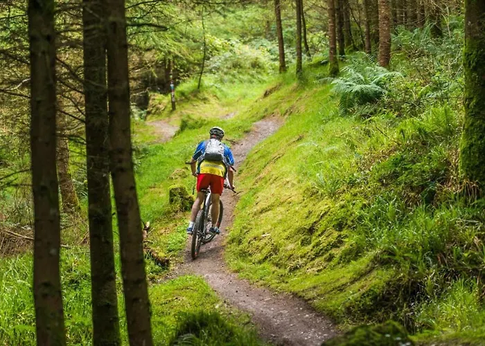 Ballyhoura Glamping * Ballyorgan